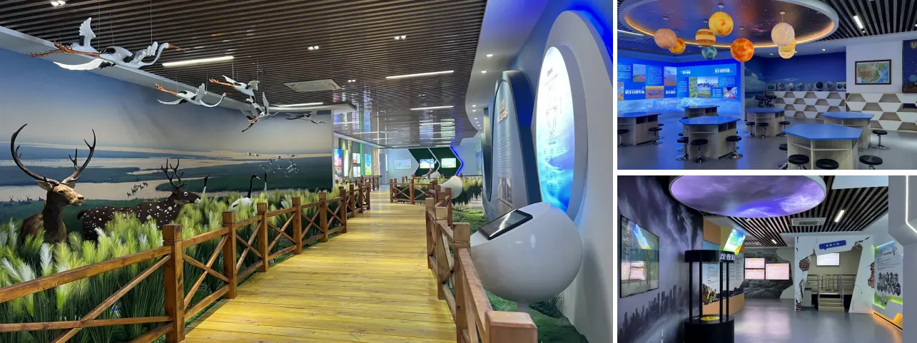 射阳鹤乡湿地生态生命教育基地展厅设计